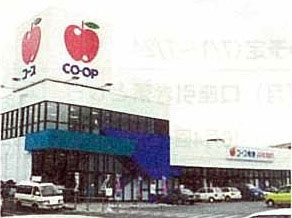 コープおきなわのあゆみ 1998年度3月